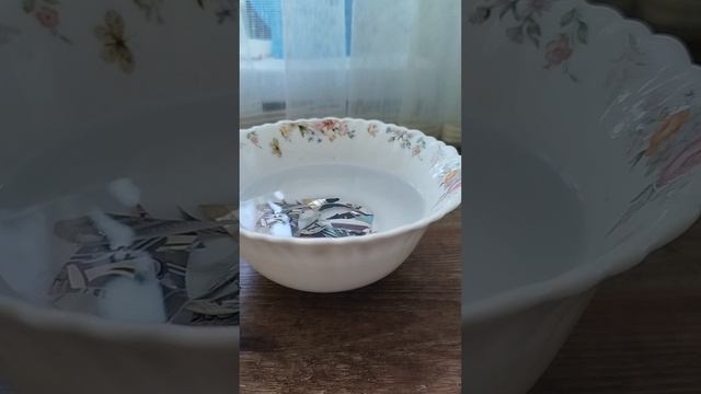 Р Е З Н Я