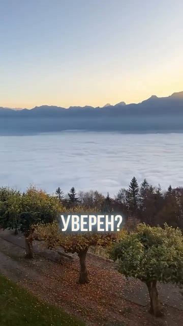 ПОЧЕМУ ВСЁ БОЛЬШЕ РОДИТЕЛЕЙ ВЫБИРАЮТ ШВЕЙЦАРИЮ ДЛЯ СВОЕГО РЕБЁНКА?
