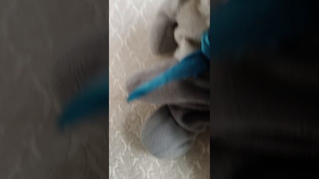 как Боря дурачится часть 6