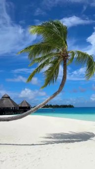 На двух живописных островах Рангали и Рангалифинолу расположился отель Conrad Maldives Rangali Is...