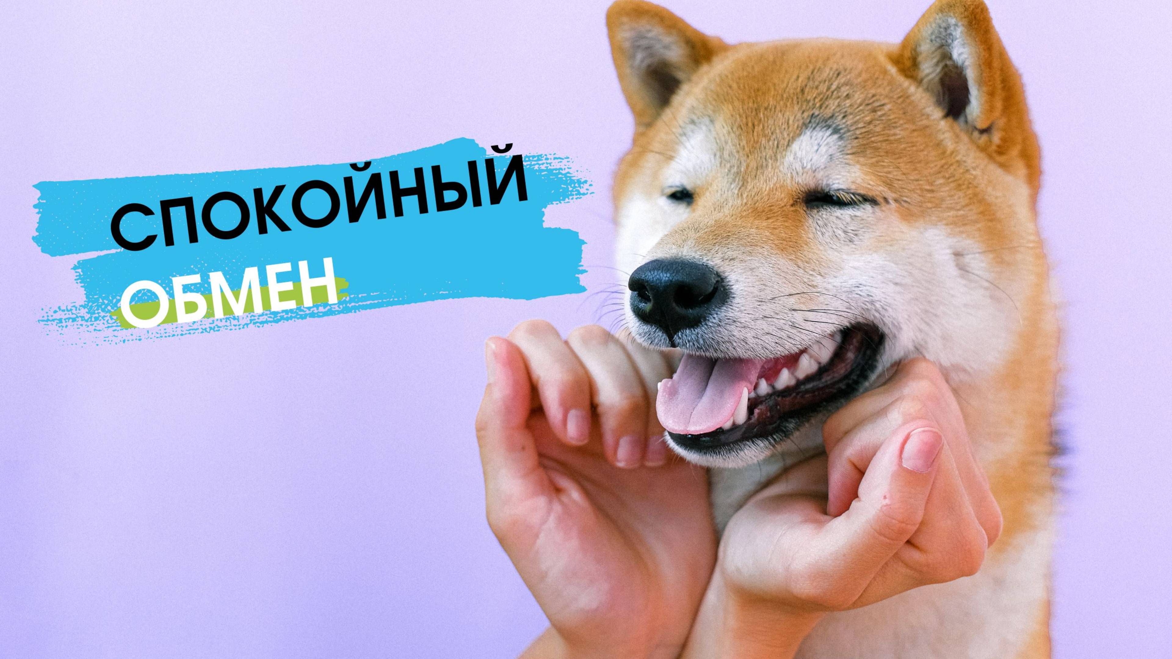 Спокойный обмен