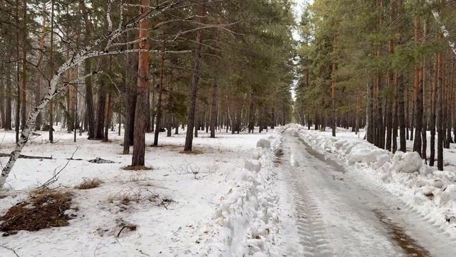 Водитель становится участником спасения пассажиров, ?