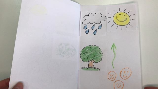 69 My Little Island 1. PB. Rain and Sun.