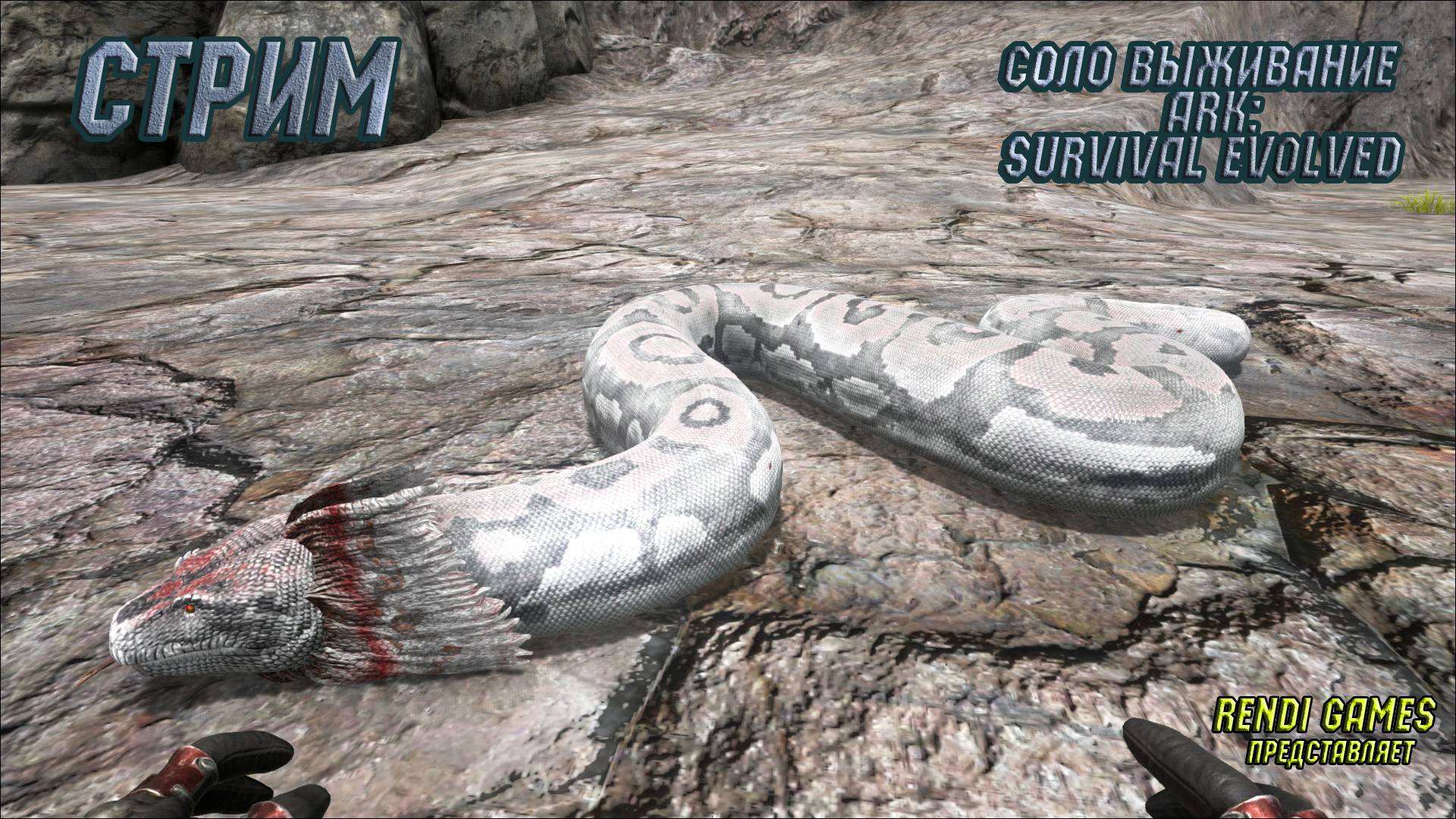 Новое выживание в ARK: Survival Evolved! 2025 #41