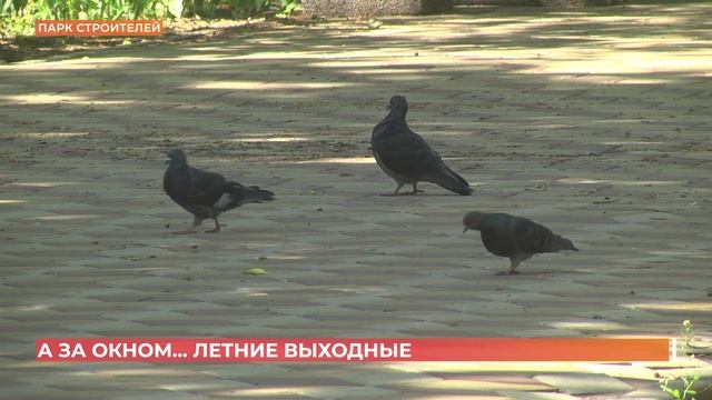 А за окном. 23 мая 2025