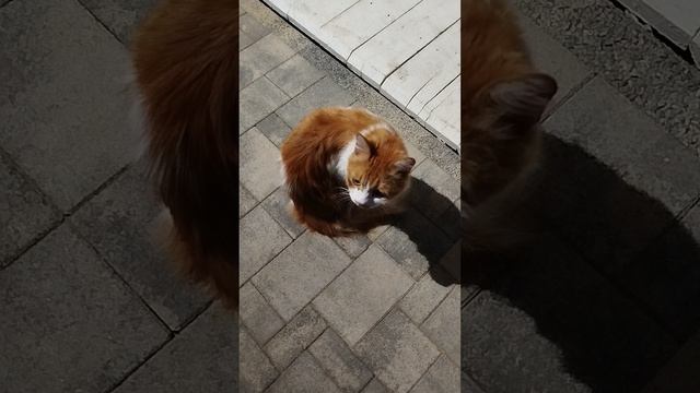 1000000896.mp4