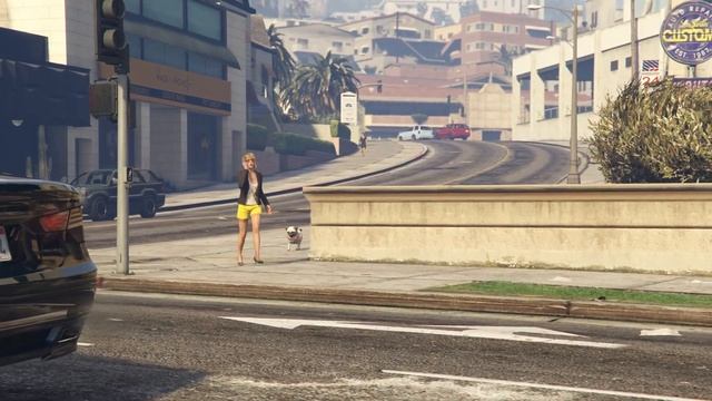 Фотоохота в GTA Online  | Где найти терьера, пуделя и мопса