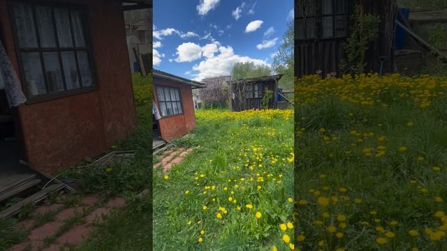 Продам дом в Толмачево видео 1
IMG_5219
