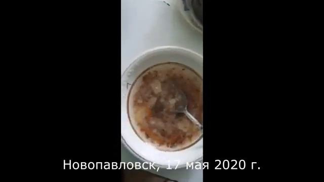 Архив ТМ-26. Без комментариев. Выпуск от 22 мая 2020 г.