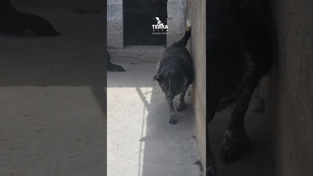 не болейте,  живите долго!