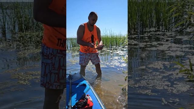 Видео отзыв финка 90мм. 18+!