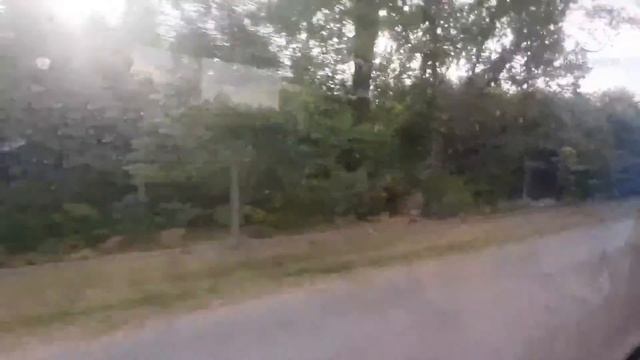 Поездка На Автобусе МАЗ 105.065 AI 3332-3 036072 Маршрут 220 Михал?