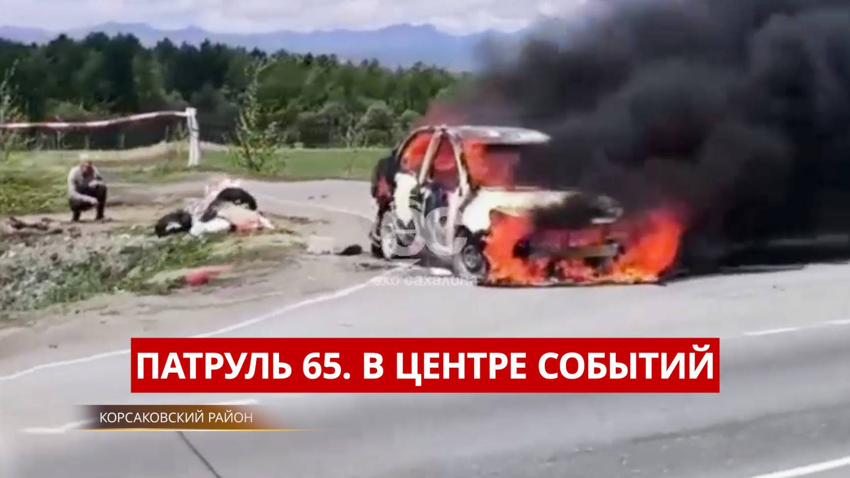ПАТРУЛЬ 65. Медвежьи тропы и горящие авто. Происшествия на Сахалине и Курилах 23.05.25
