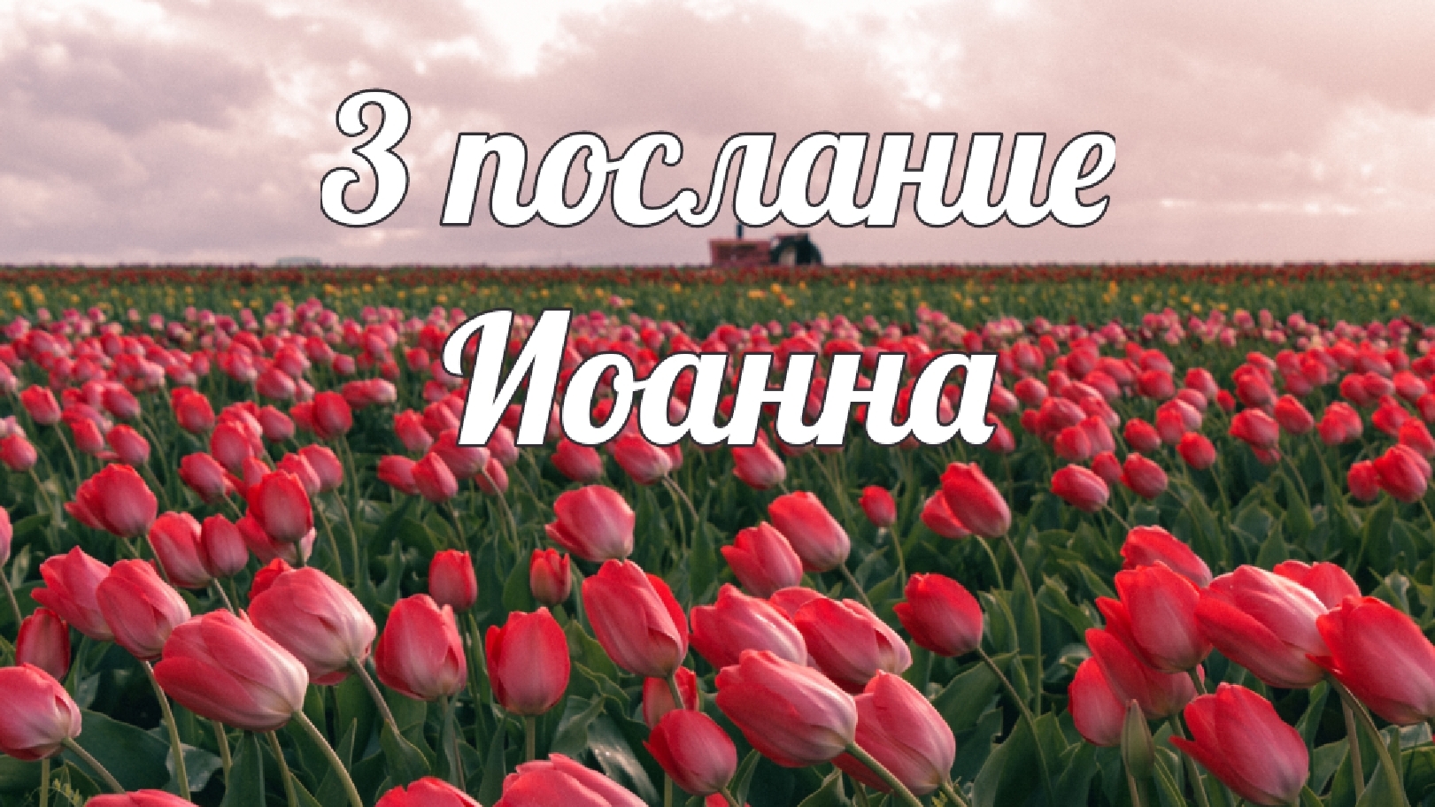 3 соборное послание Иоанна