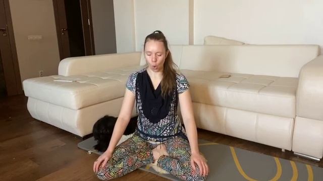 Антистресс для почек и надпочечников