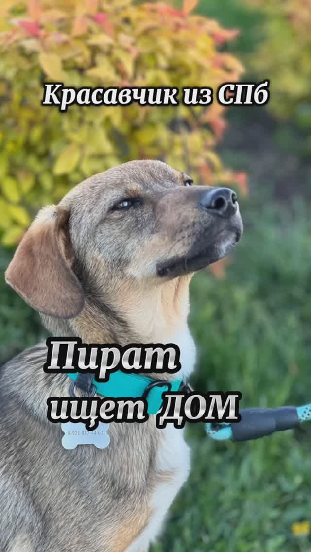 Красавчик из СПб не против познакомиться 😍