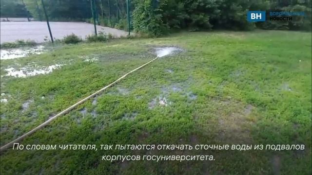Фекальные воды продолжают проливать рядом со спортивной площадкой у корпусов ВГУ