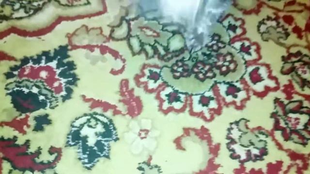 ЙОРКШИРСКИЙ ТЕРЬЕР МОНЯ! СОБАКА ТРЕПЕТ ИГРУШКИ СИАМСК