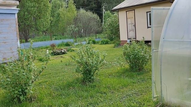 Высадил цветы! Покрасил бочку!;Я дачник!
