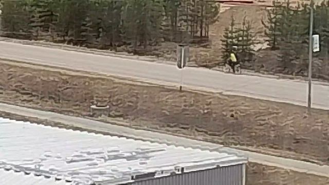 1000047494.mp4