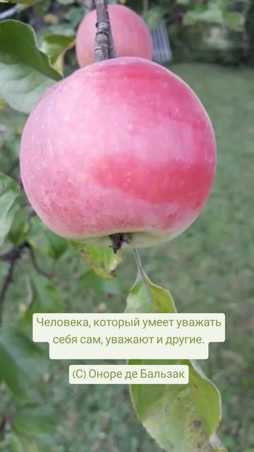 Человека, который умеет уважать себя сам... 🤗🌺🌿