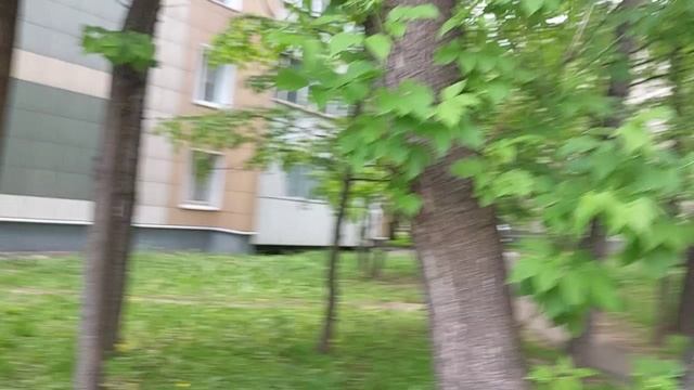 Мэр ужесточил ответственность за нанесение вреда зеленым насаждениям___а Жилищника это не колышет