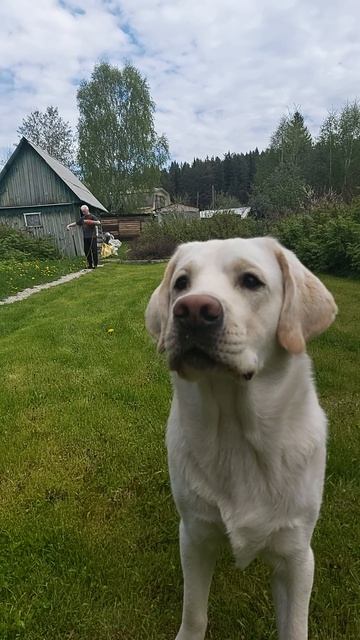 Игра в мячик на даче