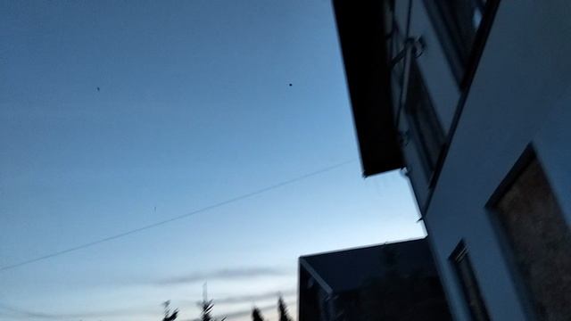 АПОКАЛИПСИС МАЙСКИХ ЖУКОВ 🤣