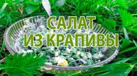 🔥 РЕЦЕПТЫ ИЗ КРАПИВЫ | Салат с яйцом — просто, вкусно, полезно!