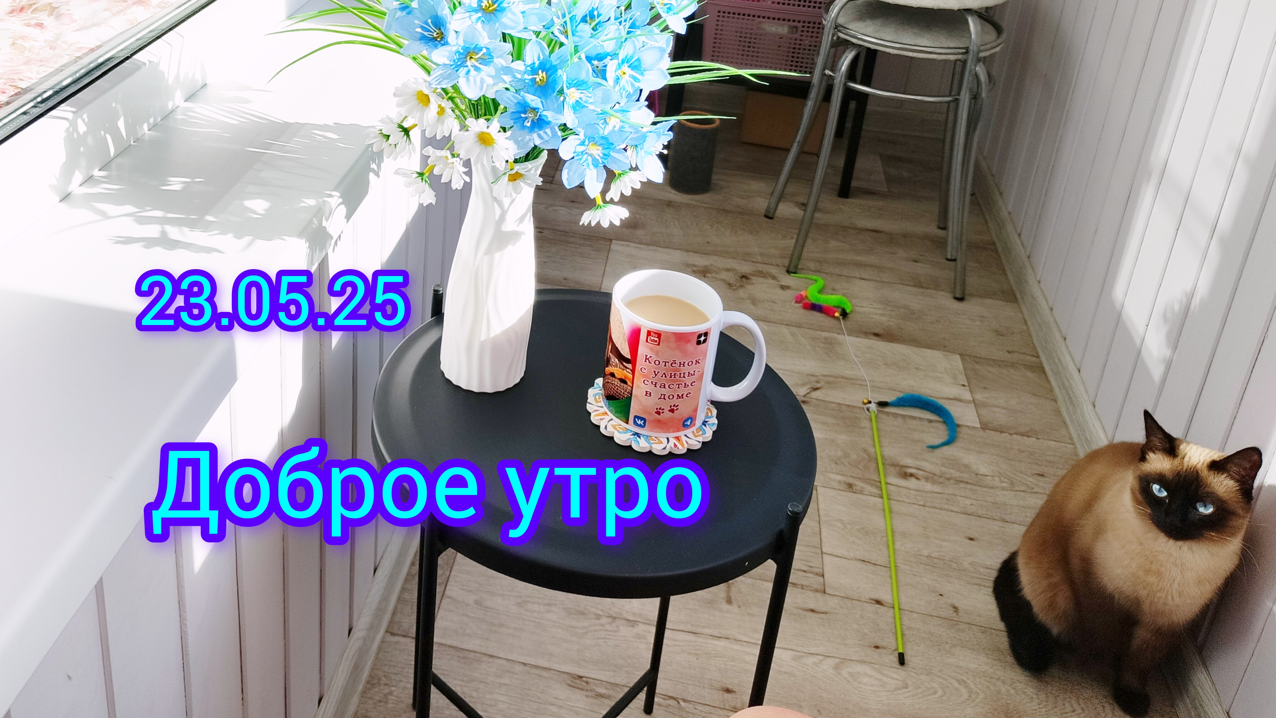 Доброе утро начинается в 3 часа🐱😂👍#смешныекоты #жизнь инвалида #котики #поговорим #кошки #котики