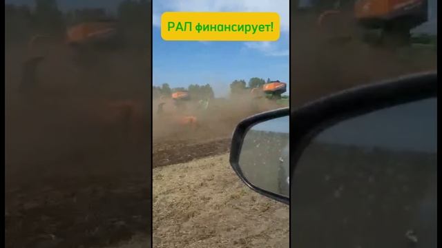 Catros и GreenDrill сеют горчицу! РАЛ финансирует! #рал #лизинг #ралфнансирует