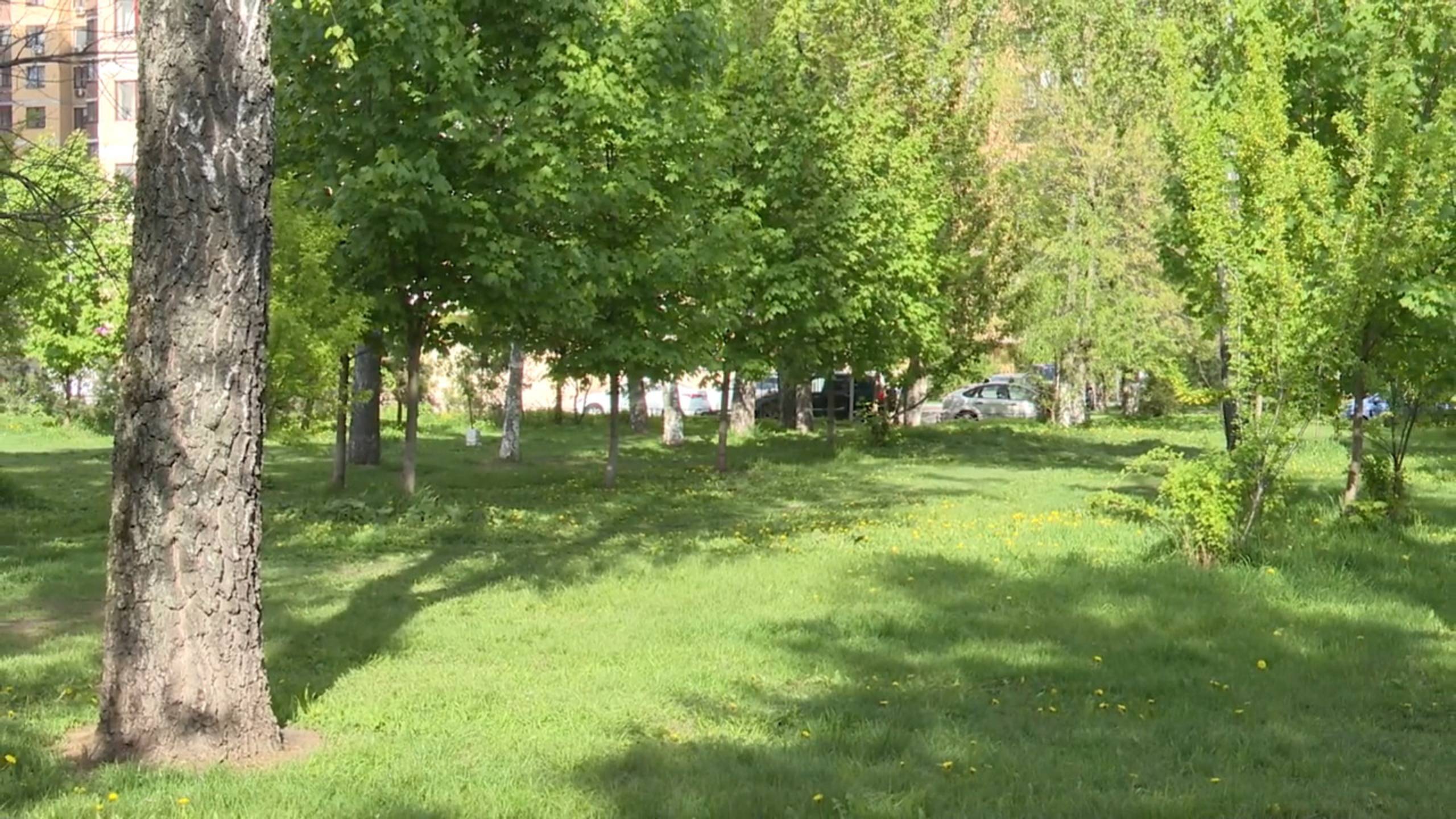 На Парковой улице появится сквер 22.05.2025