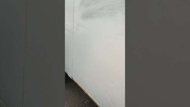 1000278186.mp4