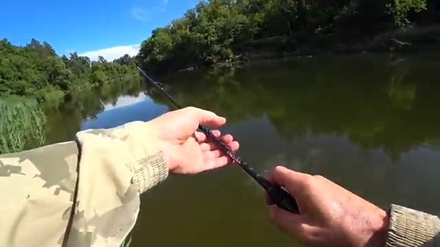 РЫБА ЗАГИБАЕТ СПИННИНГ! Рыбалка на лесной реке среди коряг и кувшинок.