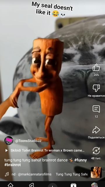1000018652.mp4