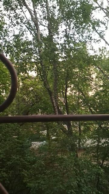 Вся кое разное