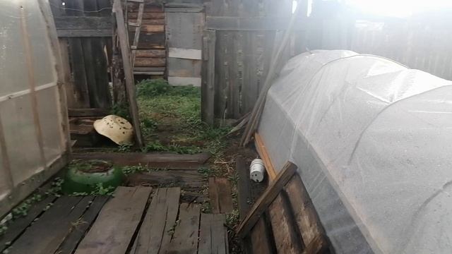 гроза в деревня,,,,,,,,,,,,,