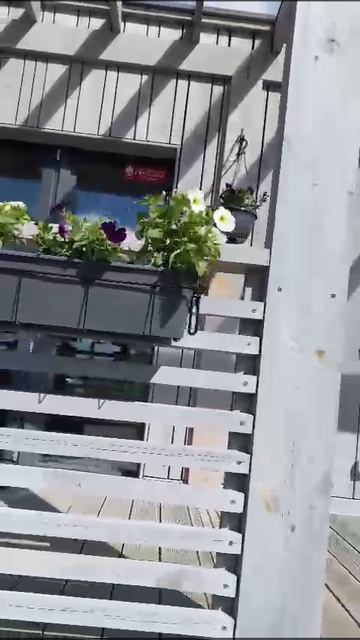 В ожидание лета в КП Тапио