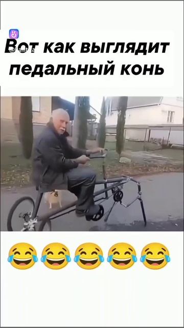 Педальный конь