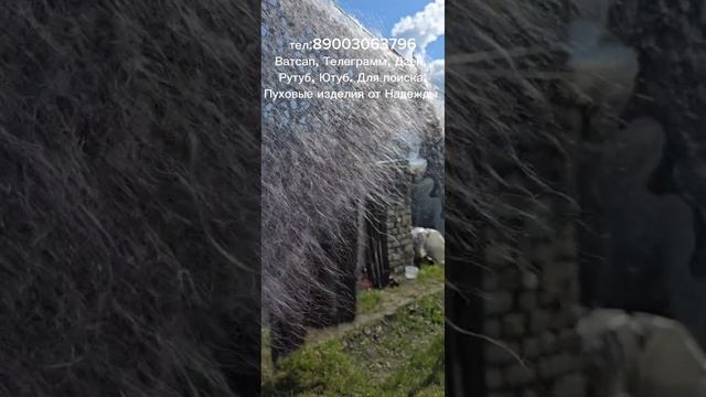 Пуховый платок, пуховый плед,пуховая косынка, ажурный платок, ажурная косынка пуховая, пряжа пуховая