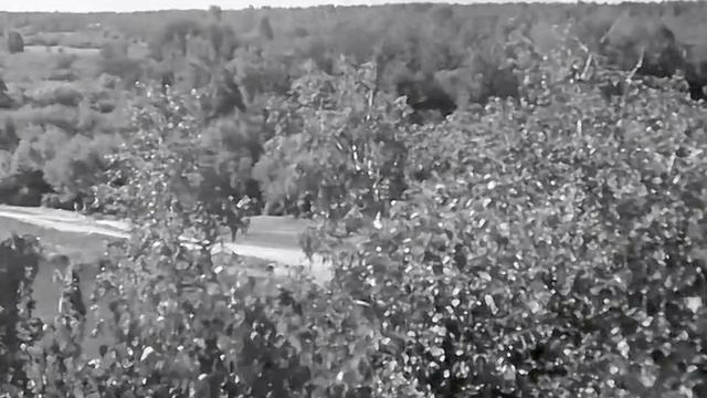 1974 год. Тюменский район. Противопожарные меры в лесах