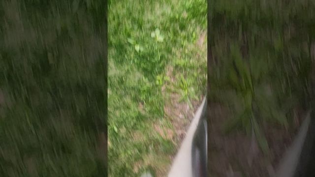 мы дибилы