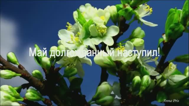 МАЙ ДОЛГОЖДАННЫЙ НАСТУПИЛ. Стихи, музыка, звук. А. Макалиш, вокал. Л.Великанова, монтаж.А.Присяжная