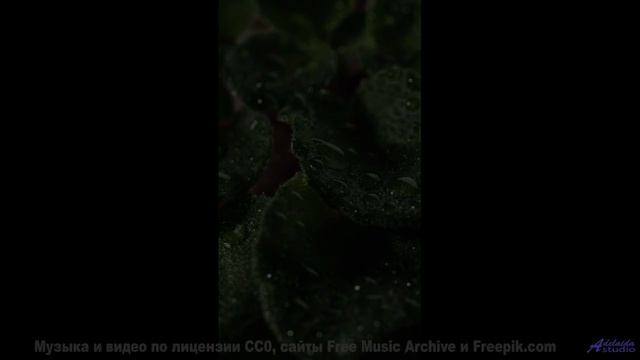 Эта мелодия - голос из иного мира! - Above The Clouds -- Kirk Osamayo -- Season Two (PURPLE)