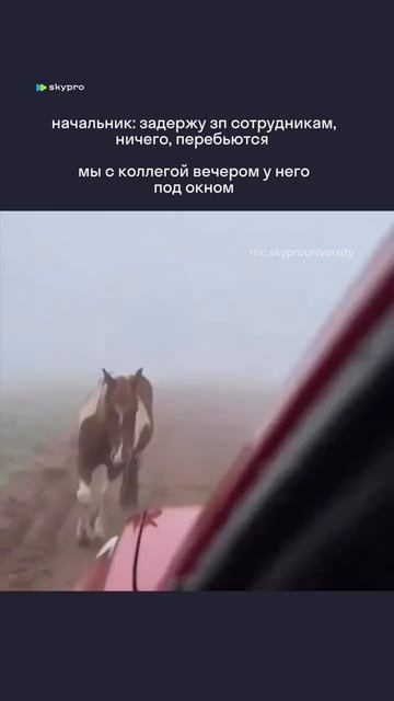 Подождииите #работа