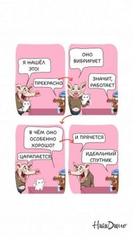 Как найти себе друга? — Общие интересы сближают!🐷🐱