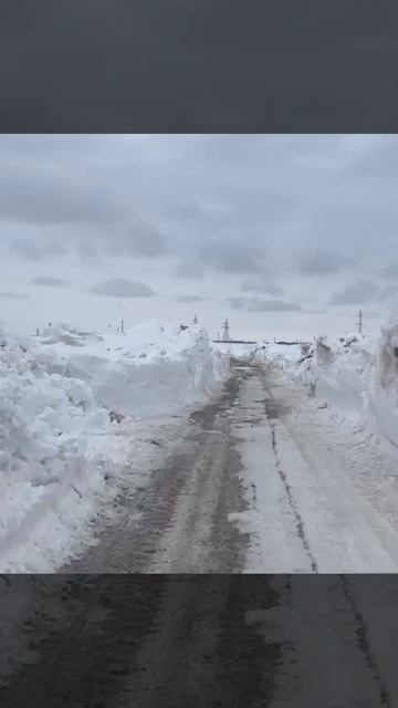 В Воркуте, почти лето, встречают с морозами и сугробами.

Видео снял житель Воркуты