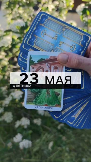 23 МАЯ - КАРТА ДНЯ НА ПЯТНИЦУ