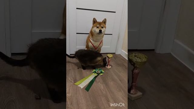 Приключения Бони и Джека