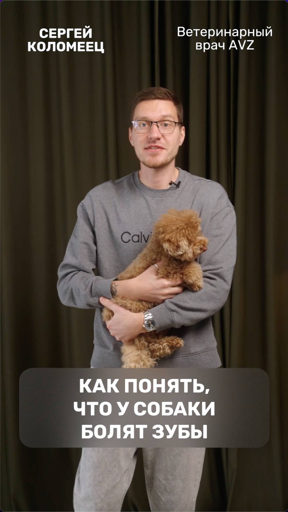 Как понять, что у собаки болят зубы